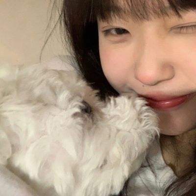 kok最新客户端下载手机版